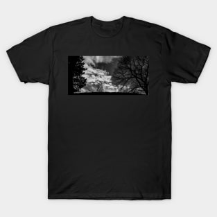 Silhouettes On A Jesmond Dene Foot Bridge T-Shirt